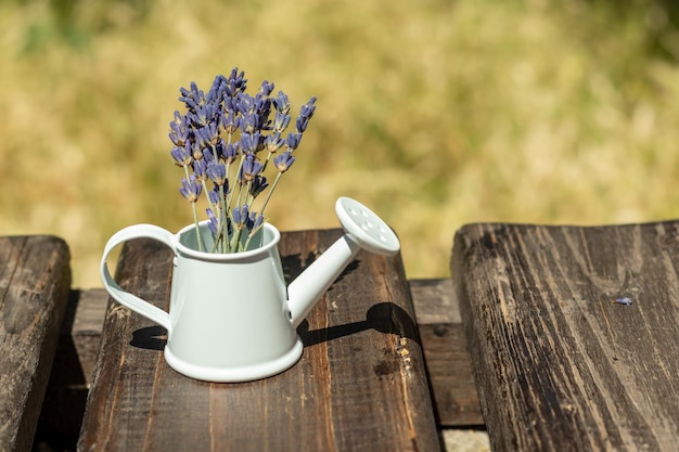 Buquê de flores de lavanda roxa em um regador decorativo branco em um fundo de madeira Lugar para uma inscrição Foco seletivo