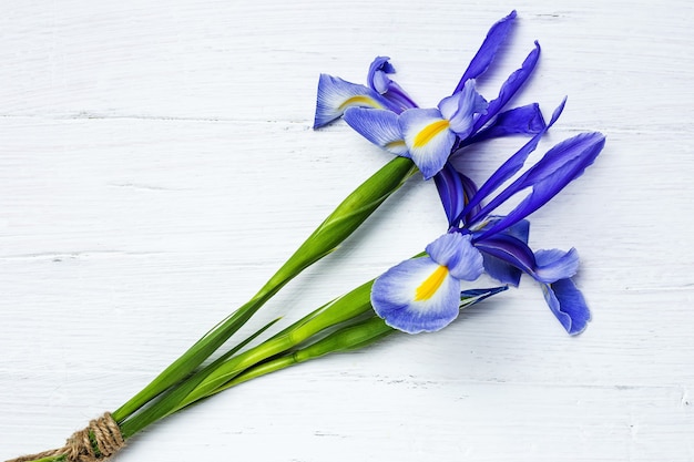 Buquê de flores de lírios azuis. Íris germânica. Postura plana