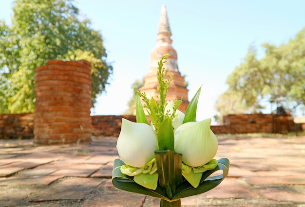 Foto buquê de flores de lótus para oferta com o antigo pagode do templo wat phra ngam em ayutthaya tailândia