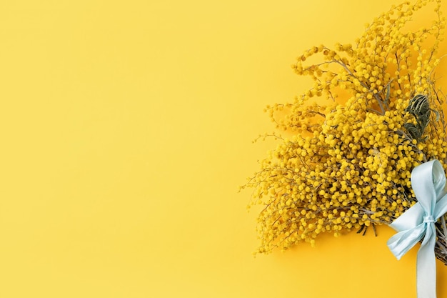 Buquê de flores de mimosa amarelas em fundo amarelo sólido