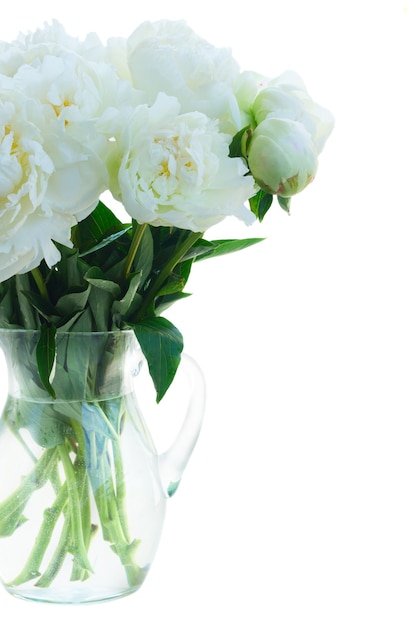 Buquê de flores de peônia branca em vaso de vidro isolado no fundo branco