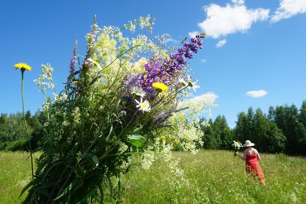 buquê de flores de prado de verão