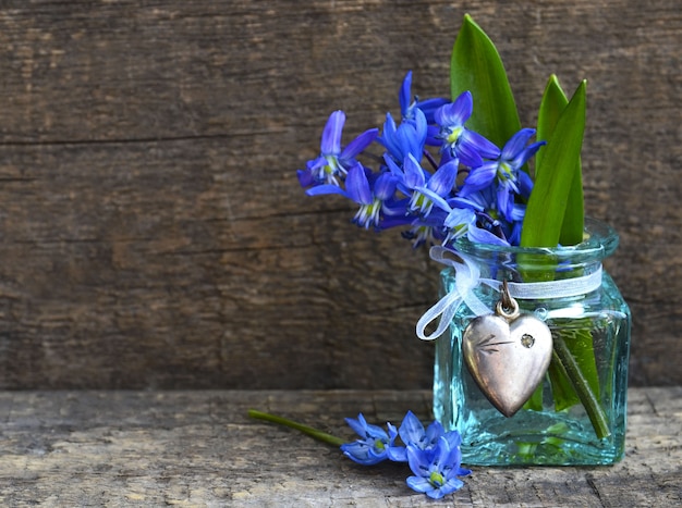 Buquê de flores de primavera scilla azul em um vaso de vidro com fundo de madeira velho. Foco seletivo.