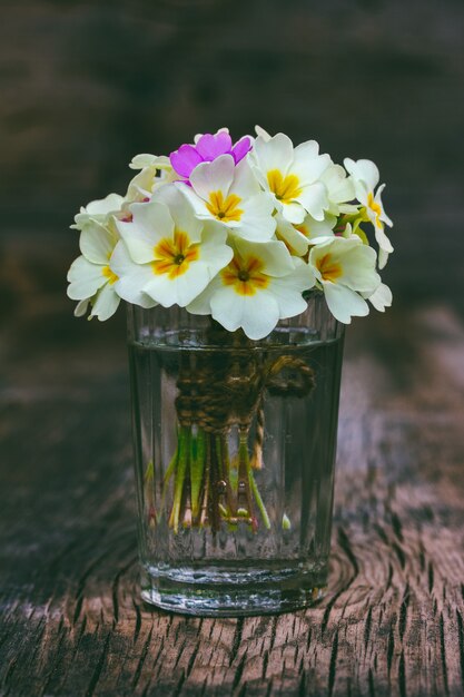 Buquê de flores de prímula em um copo de vidro em um velho vintage de madeira