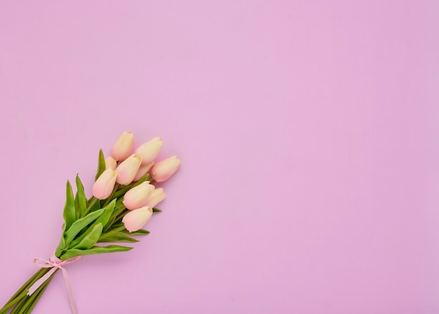 Buquê de flores de tulipas cor de rosa em um fundo rosa