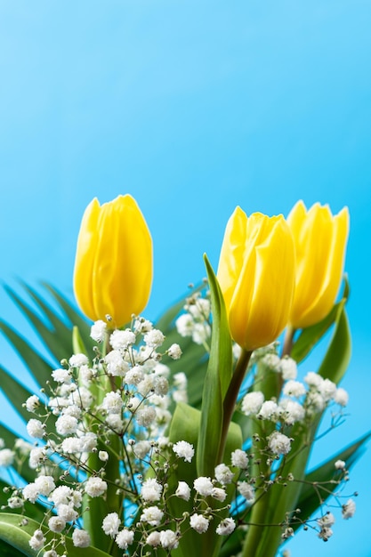 Buquê de flores de tulipas e gypsophila em um local de fundo azul para texto olá primavera de 8 de março