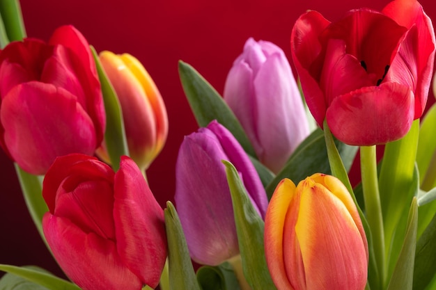 Buquê de flores de tulipas frescas coloridas para o dia internacional da mulher