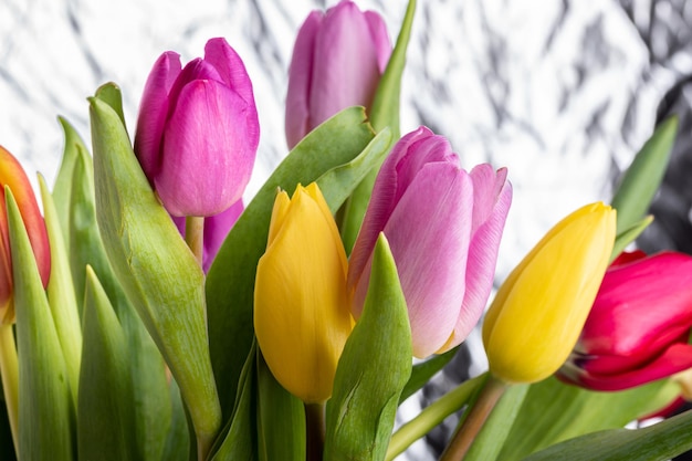 Buquê de flores de tulipas frescas coloridas para o dia internacional da mulher