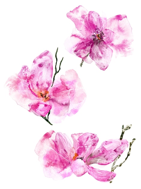 Foto buquê de flores em aquarela de magnólia rosa para design de cartão de saudação decoração floral de convite de casamento