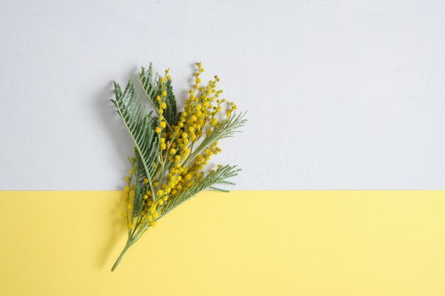 Buquê de flores em fundo cinza e amarelo, espaço de cópia de cores do ano de 2021, conceito de clima de primavera, mimosa em fundo cinza