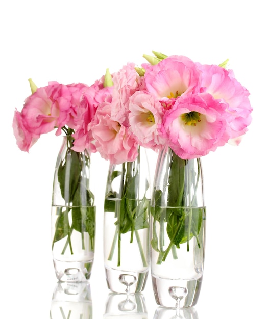 Foto buquê de flores eustoma em vasos isolados em branco