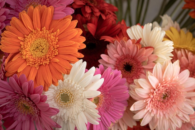 Buquê de flores gerbera multicoloridas