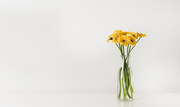 Buquê de flores gérberas amarelas em um vaso na mesa contra o fundo de uma parede branca