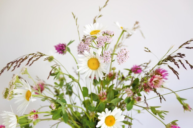 Buquê de flores silvestres de verão com trevo de camomila no fundo cinza Decoração para casa ImprimívelFechar