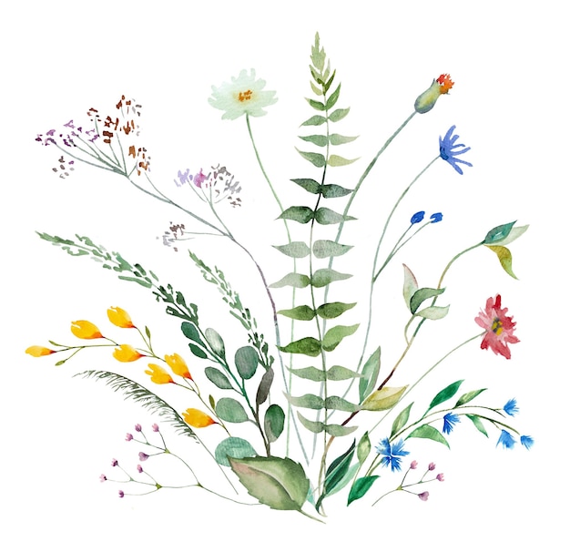 Buquê de flores silvestres em aquarela e folhas de casamento de verão e ilustração de saudação isolada