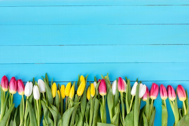 Buquê de flores sobre um fundo azul