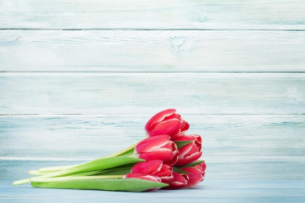 buquê de flores tulipa vermelha