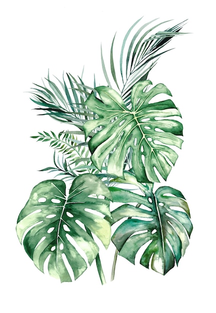 Buquê de folhas tropicais em aquarela