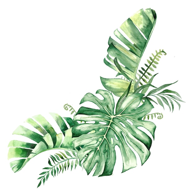 Buquê de folhas tropicais em aquarela