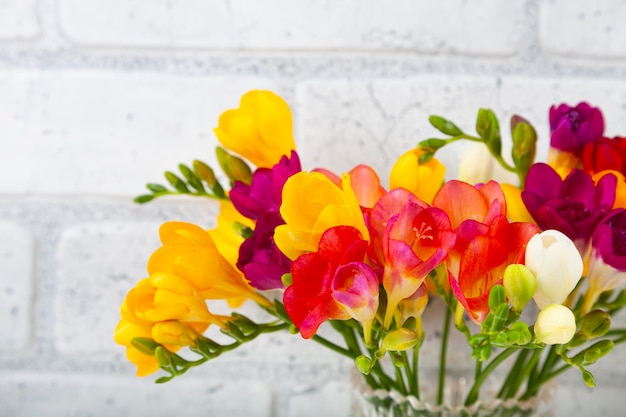 Buquê de frésias multicoloridas em um fundo de parede de tijolo. Flores bonitas.