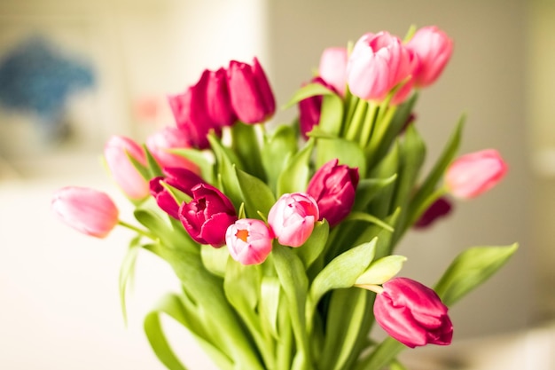 Buquê de fundo floral de lindas tulipas