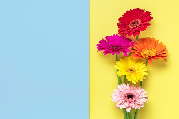 Foto buquê de gérberas em fundo azul amarelo vista superior cartão de felicitações de férias plana leigo