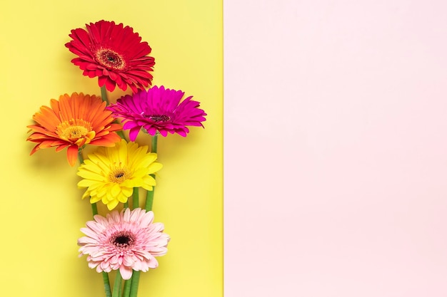 Foto buquê de gérberas em fundo rosa amarelo vista superior postura plana