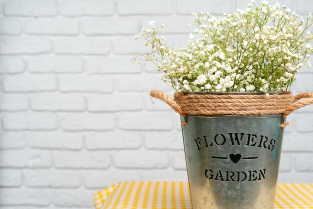 Buquê de gypsophila branco, flores de respiração do bebê fechar