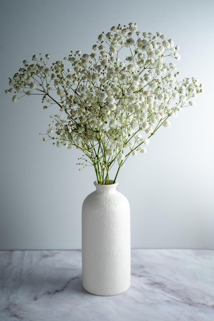 buquê de gypsophila, flores pequenas brancas sobre fundo cinza, espaço para texto,