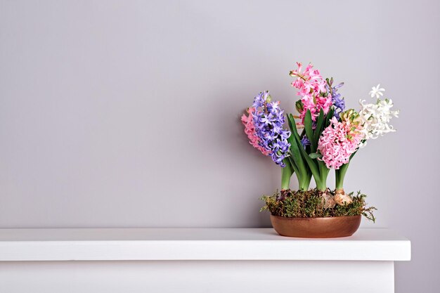 Buquê de jacintos em tigela com musgo na lareira Primavera e Páscoa espaço de cópia de decoração interior natural