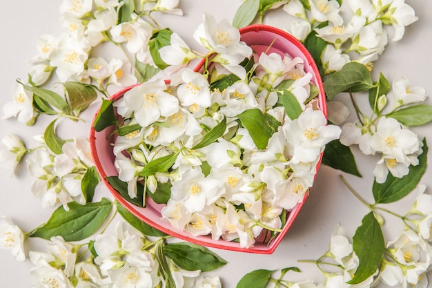 buquê de jasmim em caixa de presente flores do dia dos namorados parabéns moldura decorativa