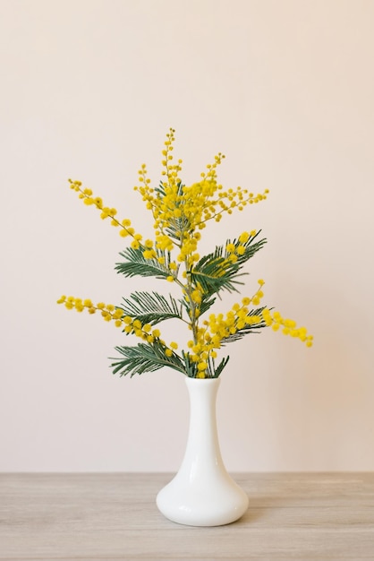 Buquê de linda mimosa amarela fresca em vaso Feriados Dia dos Namorados ou conceito de Dia das Mães