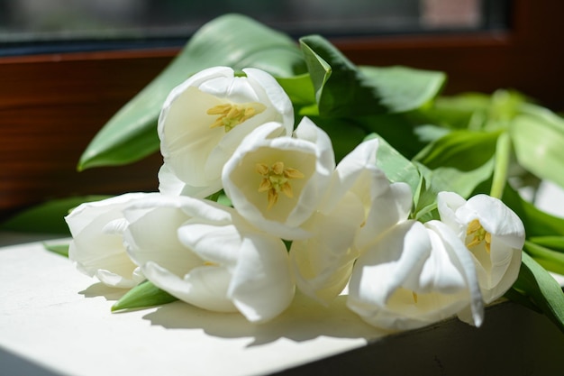Buquê de lindas flores de tulipa branca no parapeito da janela dentro de casa