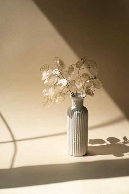 Buquê de lunaria seca em vaso de cerâmica no fundo do estúdio bege