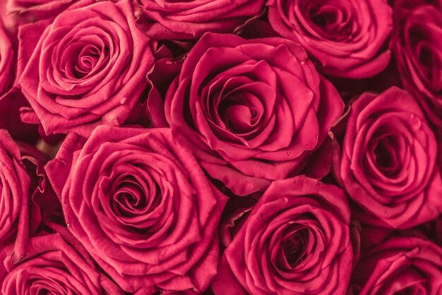 Buquê de luxo romântico de flores rosas em flor como fundo floral de férias