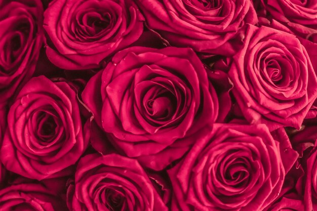 Buquê de luxo romântico de flores rosas em flor como fundo floral de férias