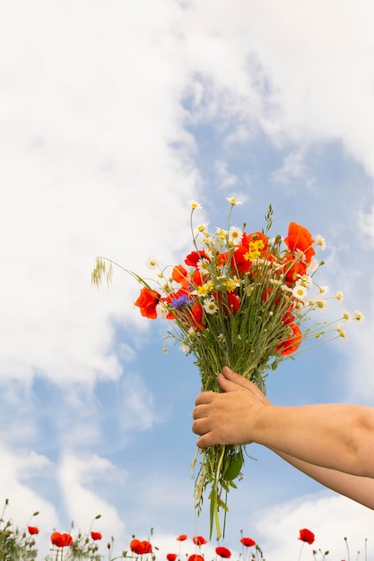 Buquê de margaridas de papoilas de flores silvestres à disposição contra o céu azul