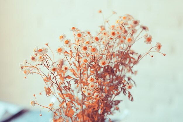 buquê de margaridas / presente romântico de verão conceito, simplicidade, um buquê de flores silvestres