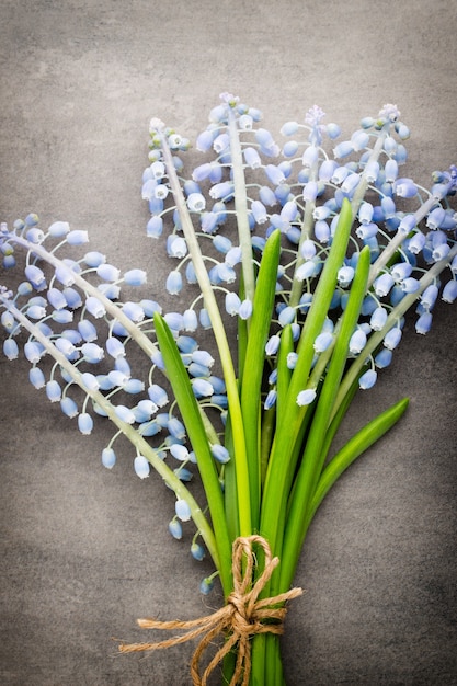 Buquê de muscari azul sobre fundo cinza rústico.