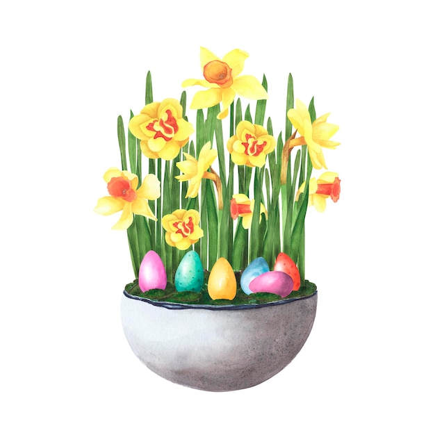 Buquê de narcisos de páscoa em pote de cerâmica com ovos coloridos isolados em branco Ilustração de desenho à mão em aquarela