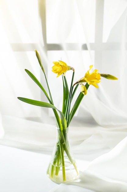 buquê de narcisos em um fundo branco pela tampa da janela