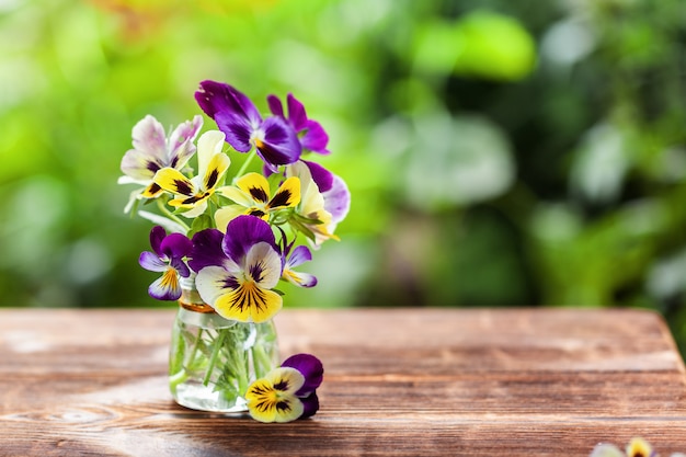 Buquê de pansies coloridos sobre fundo verde da natureza.