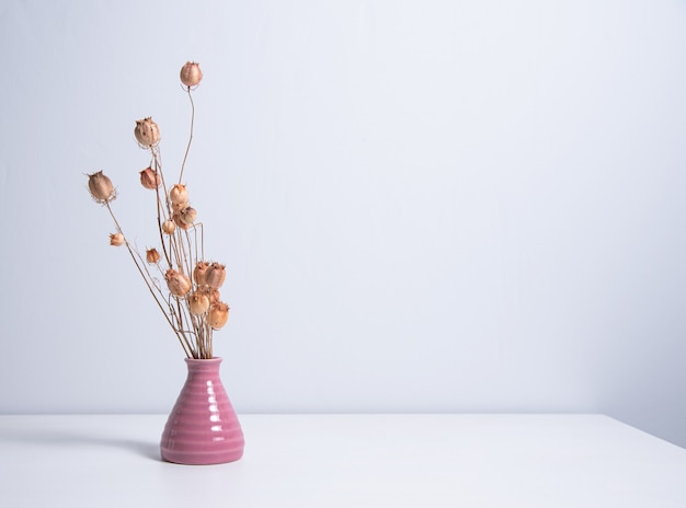 Buquê de papoilas de flores secas em um vaso rosa em um fundo branco. Vista frontal e espaço de cópia
