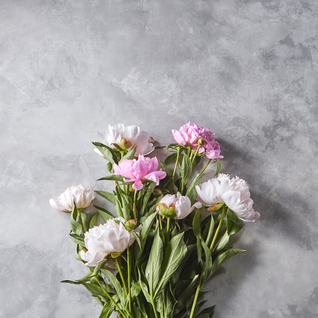 Buquê de peônia rosa linda com botões em um fundo cinza de concreto com espaço de cópia para o texto. Presente do dia das mães. Postura plana