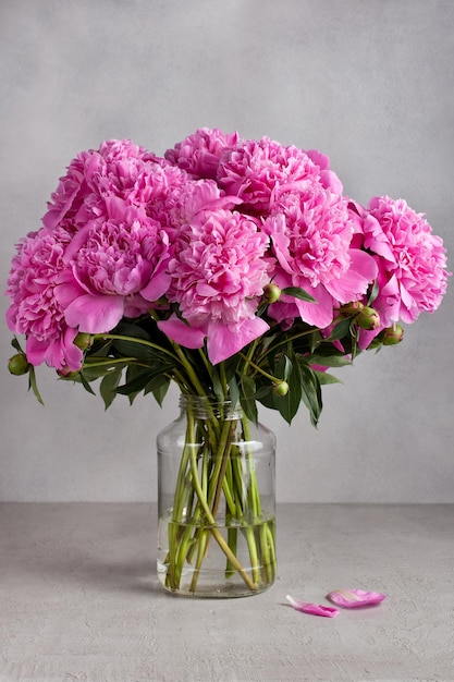Buquê de peônias rosa em um fundo cinza