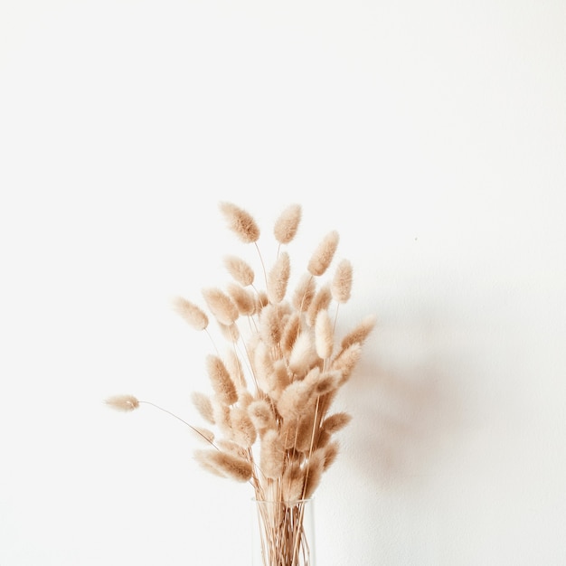 Buquê de plantas fofas em um vaso de vidro branco