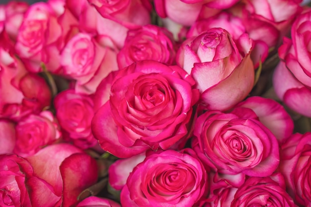 Foto buquê de primavera colorido de close-up com muitas flores de geléia diferentes.