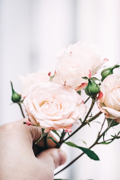 Buquê de rosas cor de rosa