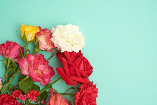 Buquê de rosas florescendo multicoloridas em verde