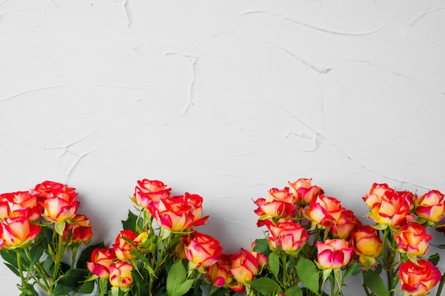 Buquê de rosas pequenas em plano de fundo texturizado cinza claro com espaço de cópia